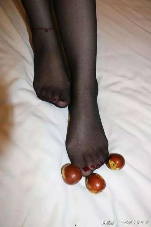 国产美足丝脚交在线观看,国产美足丝脚交在线观看,带你领略极致足部风情