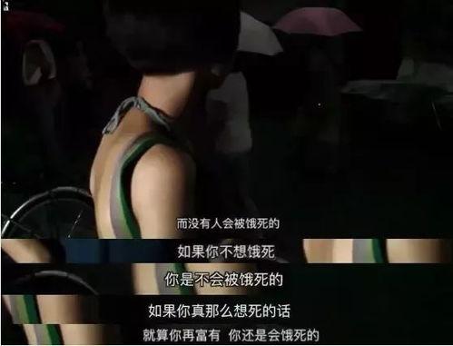 国产成人第6页在线观看,揭秘热门内容背后的故事与影响