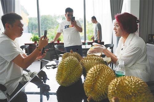 国产榴莲历程视频在线,从引进到国产化，见证热带果王的本土传奇