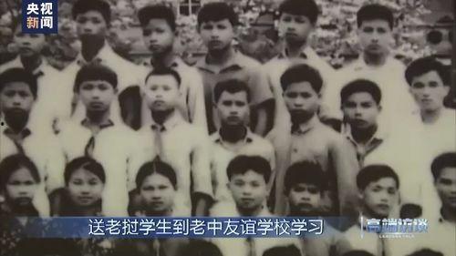 国产乱辈通伦在线观看